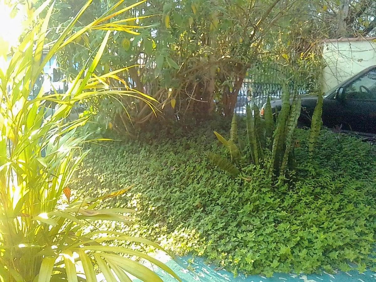 Morada Bemtevi Guest House São José dos Campos Exterior foto